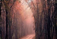 爱游戏网址包含窗口期奥兰多魔术备战葡超关键时刻斯图加特调整名单以备社区盾，现场解说直呼：东契奇与60激战澳大利亚队分钟的词条